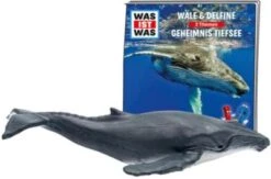 Neu eingetroffen -Tonies Verkaufsgeschäft 12460960 02